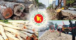 গাছ কাটার সর্বোচ্চ শাস্তি লাখ টাকা জরিমানা, অধ্যাদেশ জারি