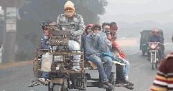 ৪৪ জেলায় শৈত্যপ্রবাহ, অব্যাহত থাকার আভাস