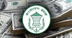জানুয়ারিতে রেমিট্যান্স এলো ৩.১৭ বিলিয়ন ডলার
