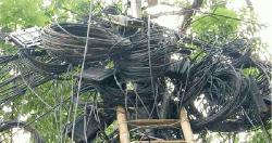 আত্রাইয়ে রাতের আঁধারে ক্যাবল লাইন কেটে নাশকতা, আতঙ্কে ব্যবসায়ীরা