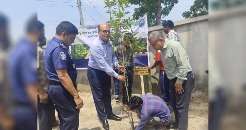 গোপালগঞ্জে সরকারের অঙ্গিকার বাস্তবায়নে বৃক্ষরোপণ কর্মসূচি শুরু 