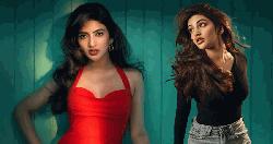 শ্রীলীলার যে মন্তব্যে সমালোচনার ঝড়