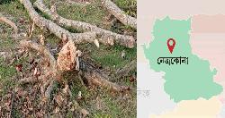 নেত্রকোণায় আদালতের নিষেধাজ্ঞা অমান্য করে জমি দখলচেষ্টা