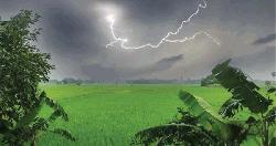 সুনামগঞ্জে বজ্রপাতে ৫ কৃষকের মৃত্যু