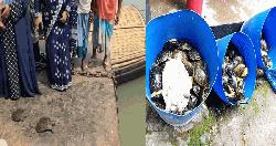সোনারগাঁয়ে পাচারকালে ১৩ কচ্ছপ উদ্ধার, জরিমানা