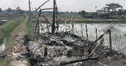 পাইকগাছায় ভুমিহীনদের জমি জবর দখলকালে বাড়ীঘর ভাংচুর, লুপাট, মারপিট ও অগ্নি সংযোগ