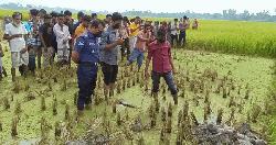 আক্কেলপুরে হাত-পা বাঁধা অজ্ঞাত ব্যক্তির লাশ উদ্ধার 