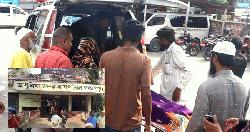 তেঁতুলিয়ায় সাপের কামড়ে নারীর মৃত্যু, স্বাস্থ্য কমপ্লেক্সে এন্টিভেনোম না থাকায় স্বজনদের ক্ষোভ