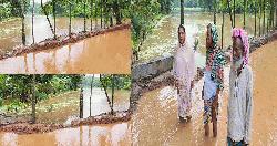 কালভার্ট বন্ধ করায় কৃত্রিম বন্যা: কাপাসিয়ায় পানিবন্দি ৫ গ্রাম, ফসল ও মাছ ভেসে দিশেহারা এলাকাবাসী