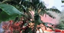 পাবনায় কিশোরীকে ধর্ষণ ও হত্যার জেরে আসামির বাড়িতে আগুন, নিহত ৩