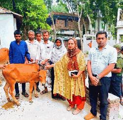 প্রান্তিক জনগোষ্ঠীর স্বাবলম্বিতায় গুরুদাসপুরে ব্র্যাকের ধানবীজ ও গবাদিপশু বিতরণ