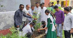রাজাপুরে ছাত্রদলের বৃক্ষরোপণ কর্মসূচি