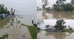 উজানের ঢলে লালমনিরহাটে আবারও বাড়ছে তিস্তার পানি, বিকেলে বিপৎসীমা অতিক্রম