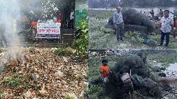 চলনবিলে অবৈধ জাল উচ্ছেদ, ১০ হাজার মিটার কারেন্ট জাল পুড়িয়ে ধ্বংস