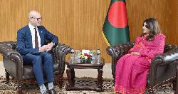 বাংলাদেশে সুইডিশ বিনিয়োগ বৃদ্ধির আহ্বান পররাষ্ট্র প্রতিমন্ত্রীর