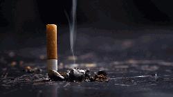 ধূমপানে বাড়তে পারে অকাল বার্ধক্যের ঝুঁকি