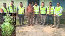 পাঁচবিবিতে গ্রাম পুলিশের বাড়ীতে গাঁজার চাষ, গ্রেফতার-২