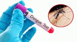 ২৪ ঘণ্টায় ডেঙ্গুতে আরও ৩ মৃত্যু, হাসপাতালে ভর্তি ২৫১
