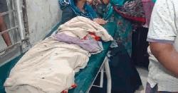কোটালিপাড়ায় ভিমরুলের কামড়ে শিশুর মৃত্যু 