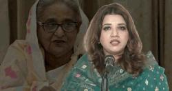 শেখ হাসিনা যেখানেই আত্মসমর্পণ করুক তাকে আগে জেলে যেতে হবে : পররাষ্ট্র প্রতিমন্ত্রী