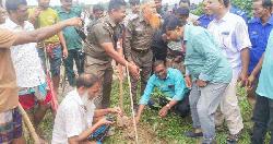 পীরগঞ্জে ৮৪ একর সংরক্ষিত বনভূমি উদ্ধার, রোপণ করা হলো ৮৪ হাজার গাছের চারা 