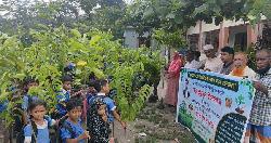 সবুজায়নের লক্ষ্যে নবীনগরে শিক্ষার্থীদের মাঝে গাছের চারা বিতরণ 