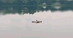 পঞ্চগড়ে মহারাজার দিঘি থেকে কিশোরের ভাসমান মরদেহ উদ্ধার, পকেটে মিললো চিরকুট