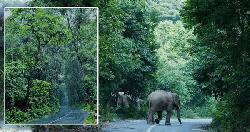 বর্ষায় গারো পাহাড়ে প্রকৃতির মোহনীয় রূপ
