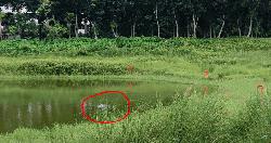 ইবিতে সাজিদ হত্যার ১বছর, বিচার দাবিতে অভিনব শিল্প-প্রতিবাদ
