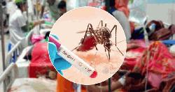 ২৪ ঘণ্টায় ডেঙ্গুতে আরও ২ জনের মৃত্যু, হাসপাতালে ভর্তি ৩০৬