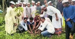 নালিতাবাড়ীতে দেশীয় জাতের গাছের চারা রোপণ উদ্বোধন 