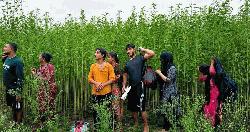 কুষ্টিয়া সীমান্তে ৮ জনকে পুশইনের চেষ্টা প্রতিহত করল বিজিবি
