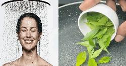বর্ষায় গোসলের পানিতে নিমপাতা, ত্বক সুরক্ষায় মিলতে পারে নানা উপকার