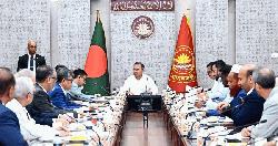 চা শিল্পের উন্নয়নে সর্বাত্মক সহযোগিতার আশ্বাস প্রধানমন্ত্রীর