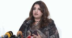 অর্থনীতি পুনরুদ্ধারে বিদেশি বিনিয়োগই অগ্রাধিকার: পররাষ্ট্র প্রতিমন্ত্রী