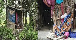 পীরগঞ্জে ভিটে হারিয়ে মানবেতর জীবন কাটছে বৃদ্ধার 