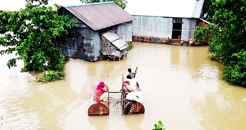 কৃষি অর্থনীতিতে বড় ধাক্কার আভাস, দিশেহারা দেশের ১০ লাখ কৃষি পরিবার