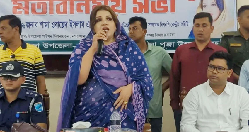 ১৭ বছরে অর্থনীতি ধ্বংসের দ্বারপ্রান্তে রেখে গেছে স্বৈরাচারী সরকার: শামা ওবায়েদ
